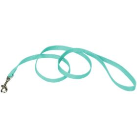 Coastal Pet Single ply Teal Nylon Dog Lead