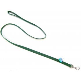 Coastal Pet Nylon Lead (Option: Hunter Green 4' Long x 5/8" Wide)